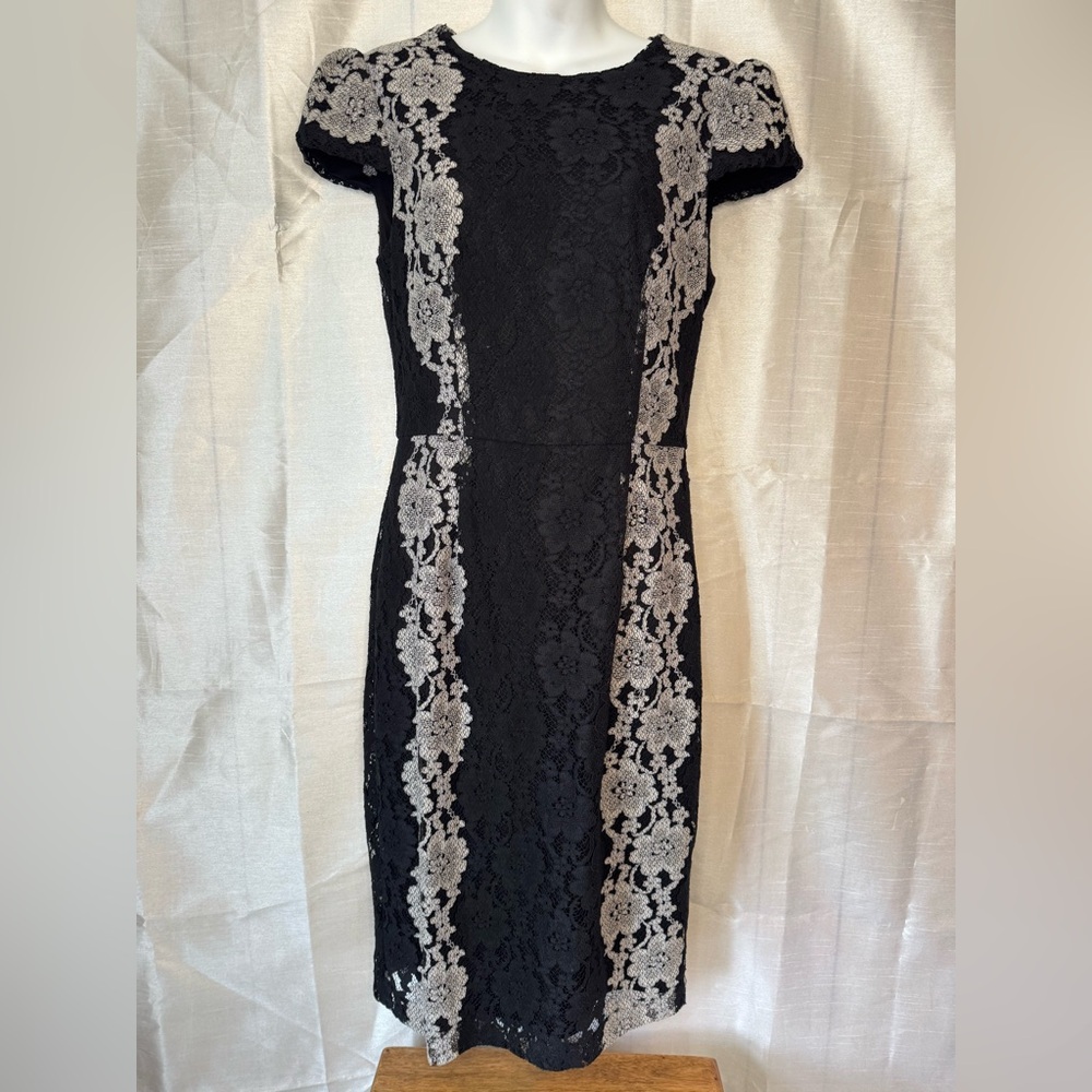 Elegant Black Lace Dress